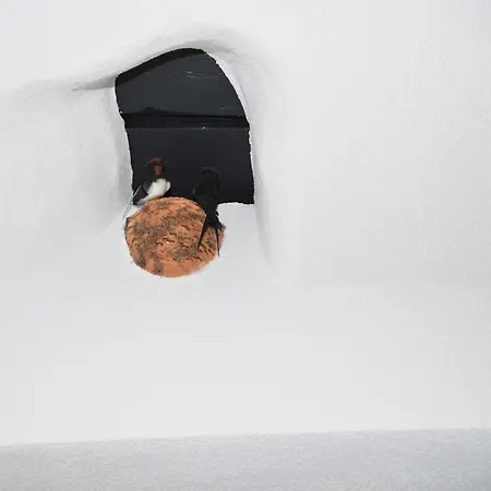 Apartamento Ferienwohnung-naurath Naurath (Eifel)